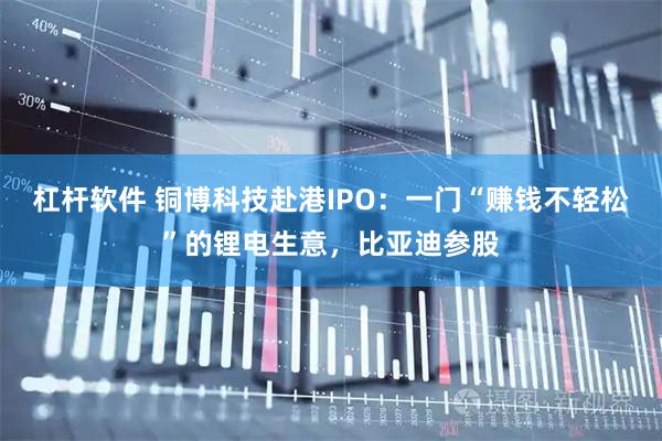 杠杆软件 铜博科技赴港IPO：一门“赚钱不轻松”的锂电生意，比亚迪参股