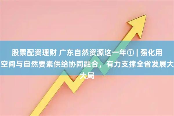 股票配资理财 广东自然资源这一年① | 强化用地空间与自然要素供给协同融合，有力支撑全省发展大局